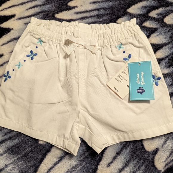 Bnwt Gymboree outfit - Picture 3 of 3
